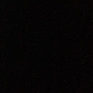 Meet your Posher, Brady